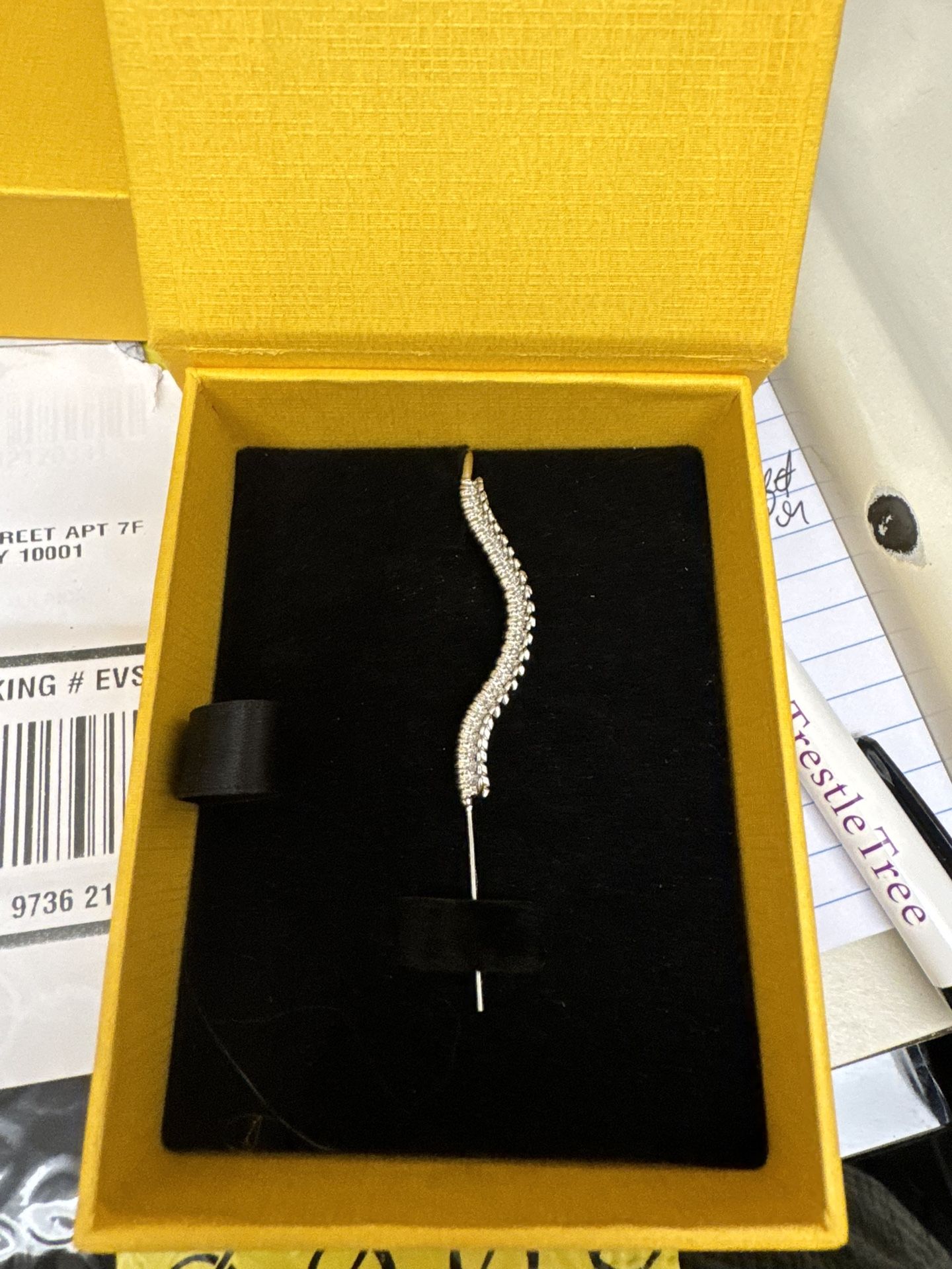 SPINE-CHILLING EARRING