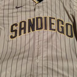 Fernando Tatis Jr Lg padres Jersey