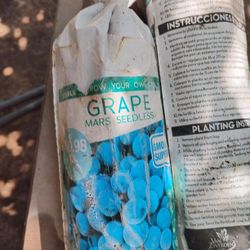 Grape Plants 