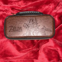 nintendo switch case