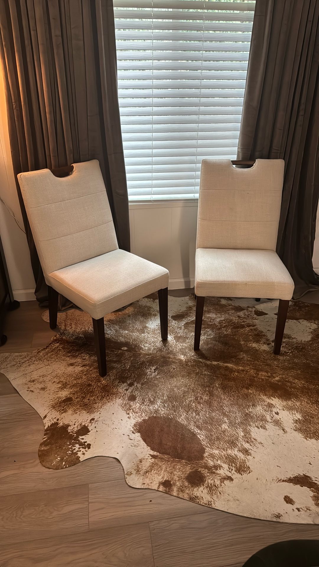 2 Dining Chairs