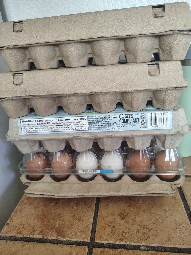 Fresh Eggs