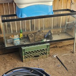 Fish Tank