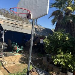 Basketball Hoop