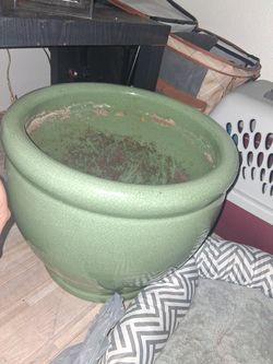 Planters