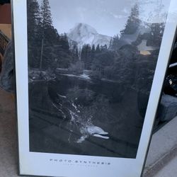 Large Print Photosynthesis 