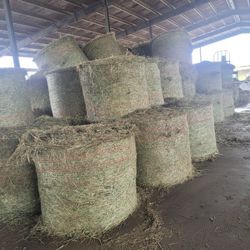 Grass hay 
