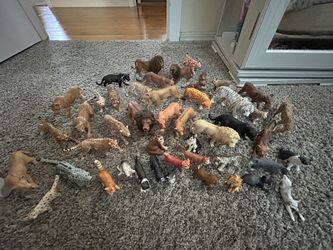 Wild Cats, Lions, Tigers, ( Most Schleich Beand)