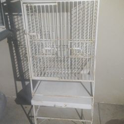 Bird Cage  Available NOW $100