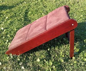 Pet Ramp