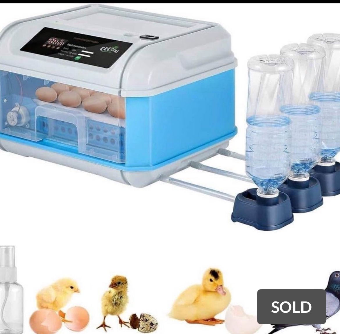 Egg incubator