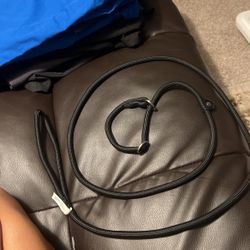 4ft Classic Slip Leash