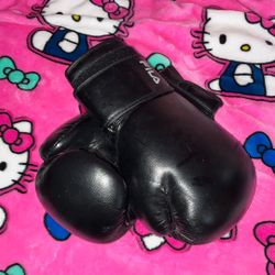 Fila Boxing Gloves 