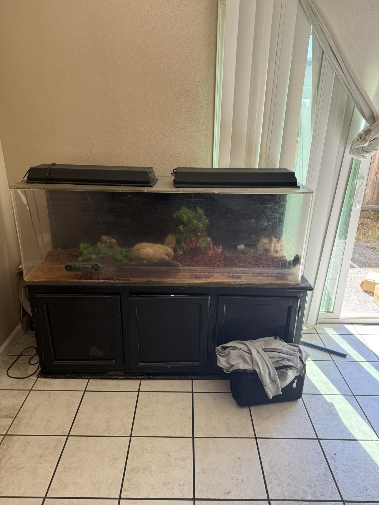 Fish Tank 