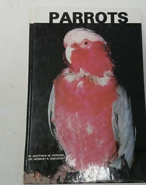 Parrots

