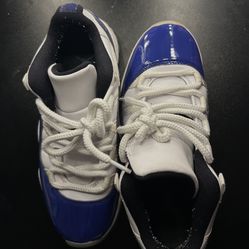 Retro Jordan 11s
