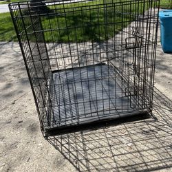 Dog Cage