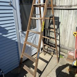 Werner Ladder 7 Ft