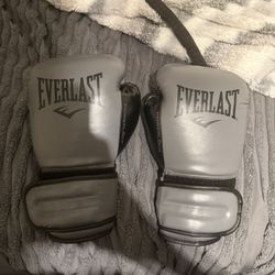 Everlast Boxing Gloves 