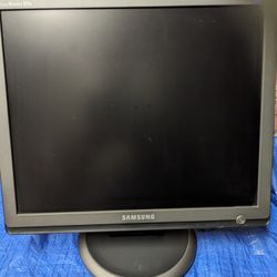 Samsung SyncMaster 931S   21 Inch Monitor
