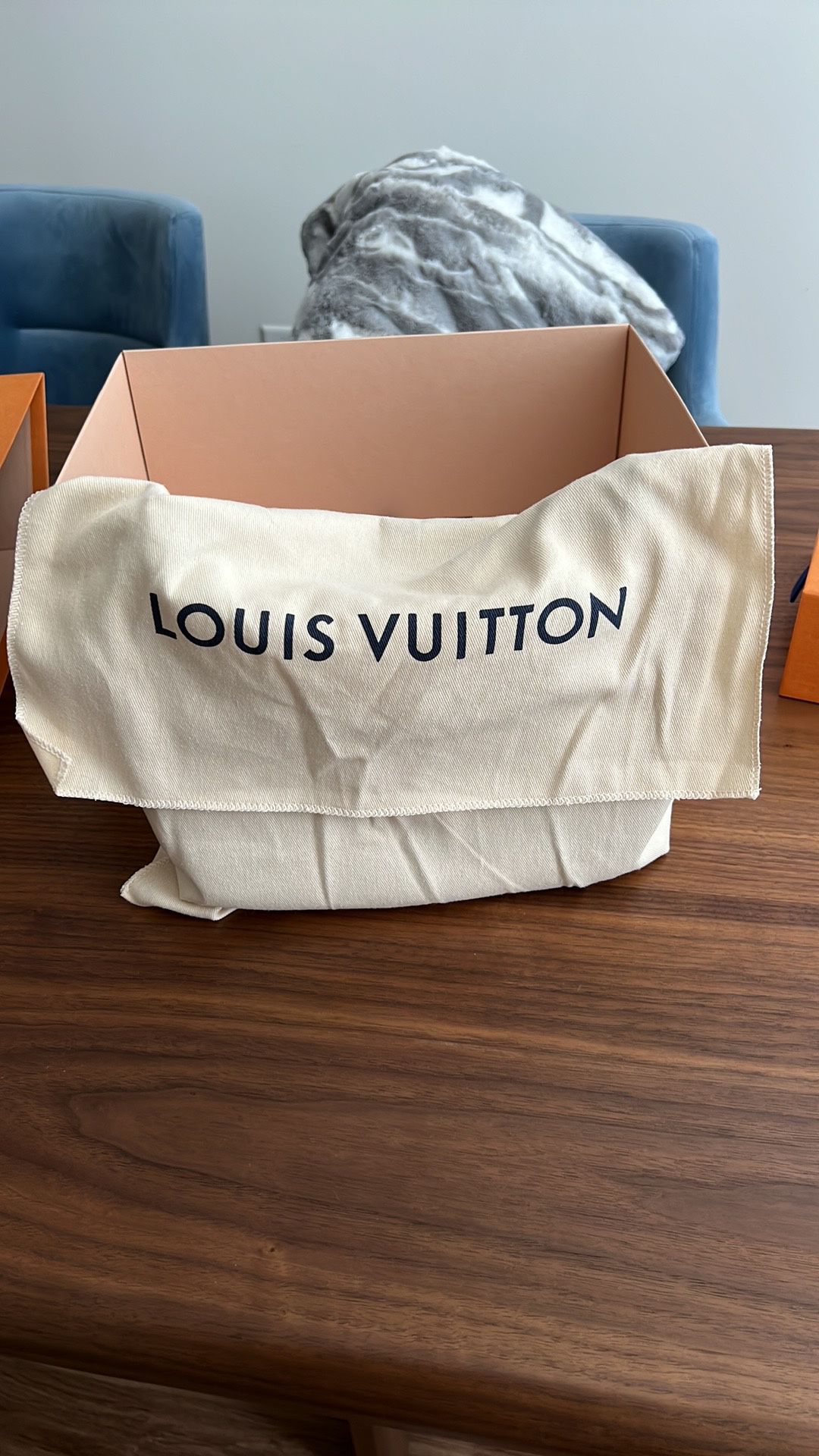 Louis Vuitton Bagatelle for Sale in Hoboken, NJ - OfferUp