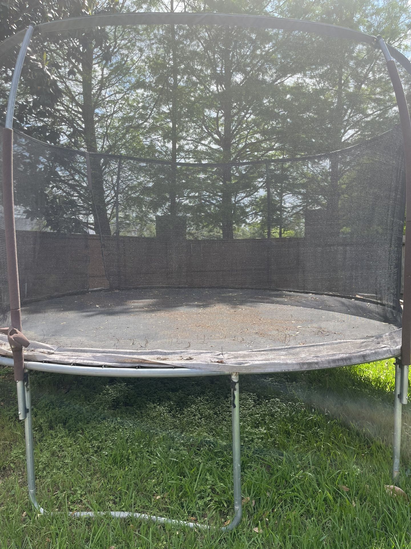 Trampoline!