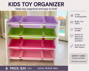 Storage Organizer with 12 Plastic Storage Bins