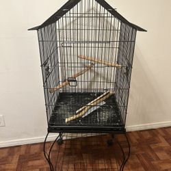 Bird Cage 