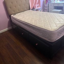 Twin Size  Wood Platform Bed With 3 Drawers 