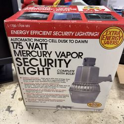 Security Light