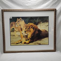 Lion and Lioness at Rest