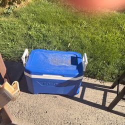 Igloo Blue Hard Cooler