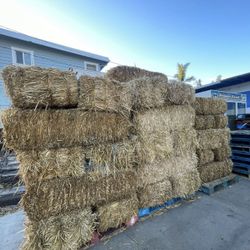 Hay Bales For Sale 5$ Per Bale I’ve Got 50 Left 