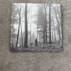 Taylor Swift Vinyl (Folklore)