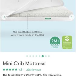 Newton Mini Crib Matress