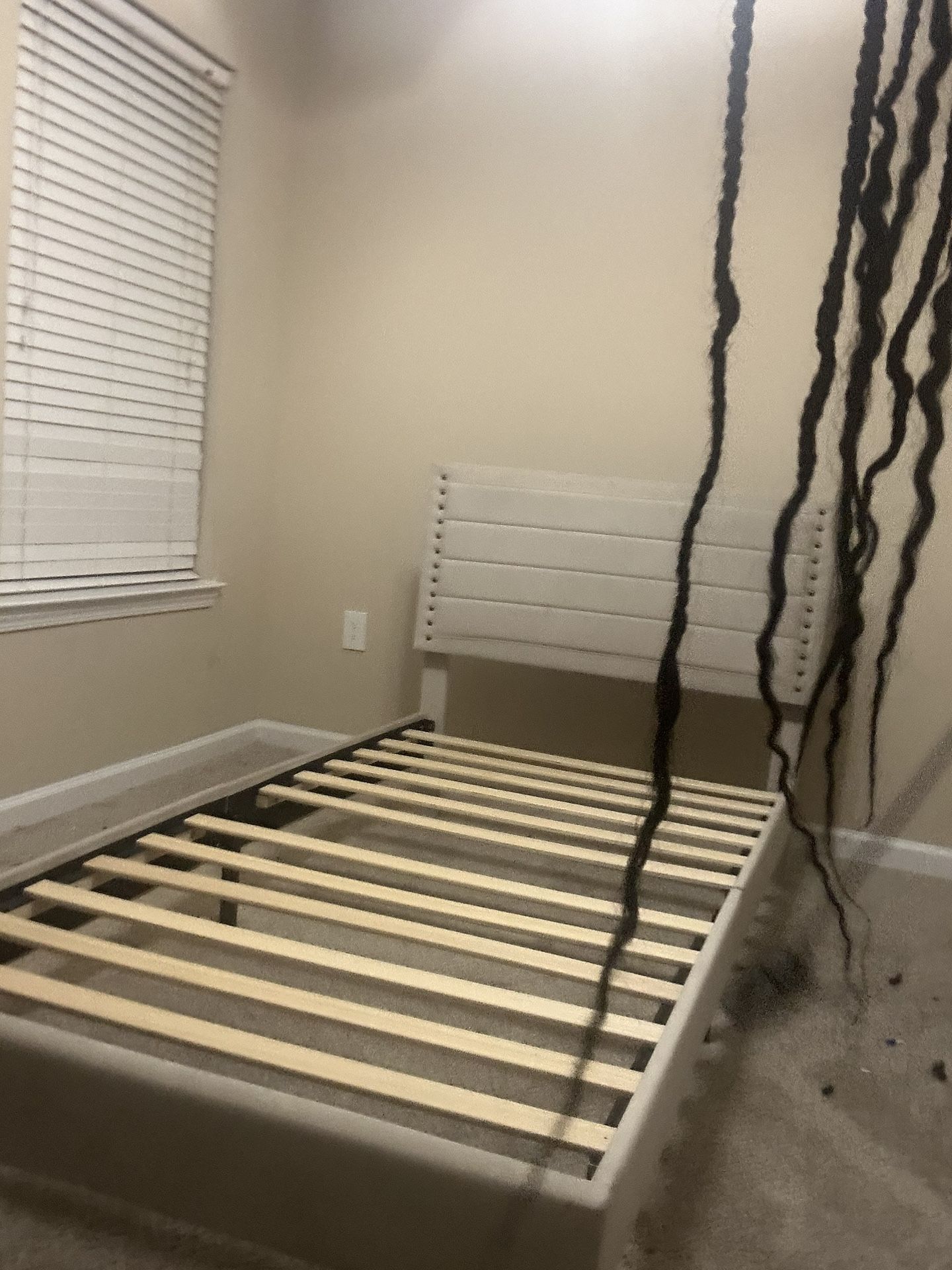 Bed and Mattress