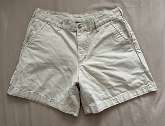 Patagonia Shorts