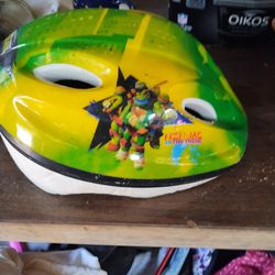 Teenage Mutant Ninja Turtles Small Child Bike Helmet 