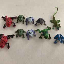 Rubber frog collection