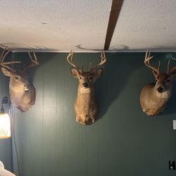 Buck mounts