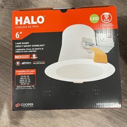 **NEW** HALO Canless Trim