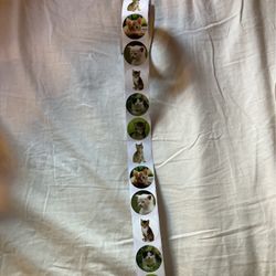 roll of cat stickers