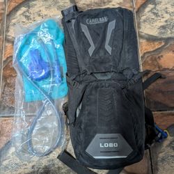 Camelback Backpack 