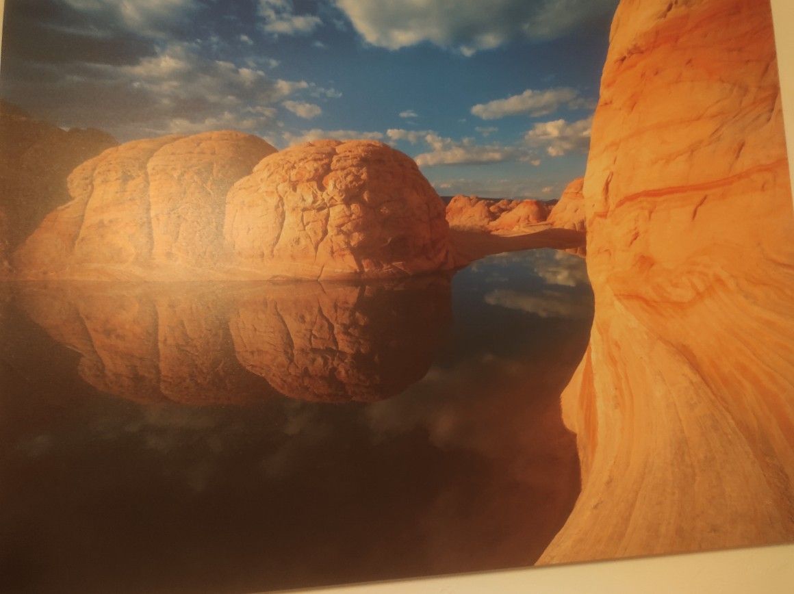 Canvas Photo Wall Picture 40 Inch By 30