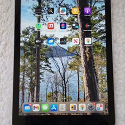 * iPad (5th) - Wifi - 32GB - 9.7" - 46