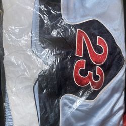 Supreme X Jordan Shorts 