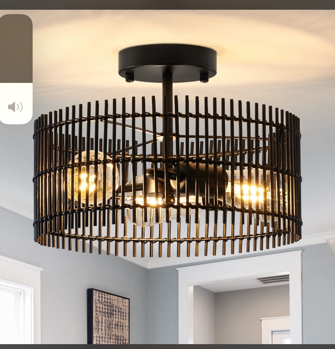 Caged Ceiling Light Fixture