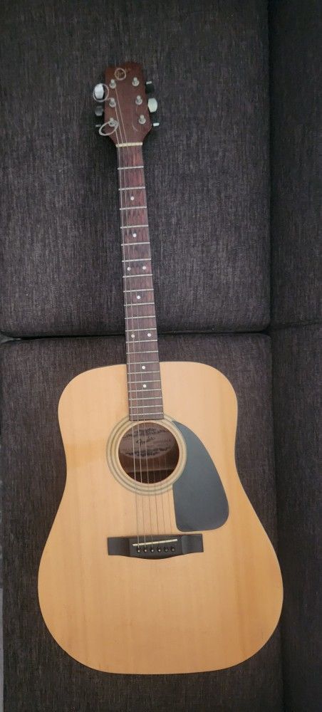 Acoustic Guitar 