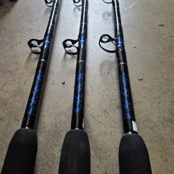 Chaos Fishing Rods..500 For All