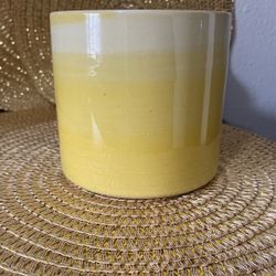 Ceramic Decorative Plant Pot 